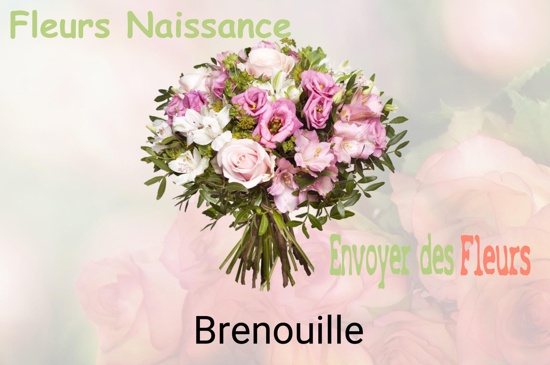 Bouquet de fleurs de naissance livré à Brenouille
